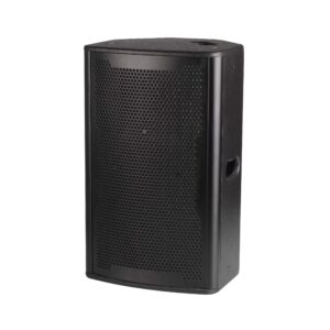 10-inch Full-Rang Speaker-Model:MA-YK10